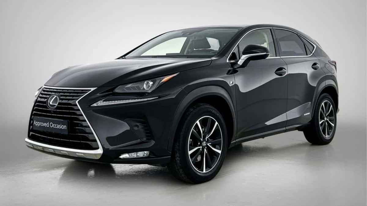 Lexus NX (2020) — foto 1