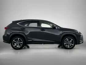 Lexus NX (2020) thumbnail 13