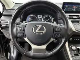 Lexus NX (2020) thumbnail 19