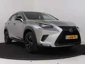 Lexus NX (2019) thumbnail 15