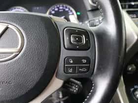 Lexus NX (2019) thumbnail 17
