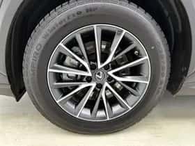 Lexus NX (2022) thumbnail 35