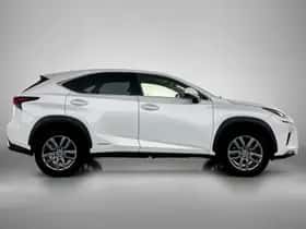 Lexus NX (2018) thumbnail 12