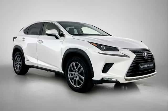 Lexus NX (2018) thumbnail 13