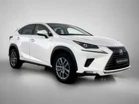 Lexus NX (2018) thumbnail 13