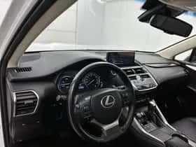 Lexus NX (2018) thumbnail 36