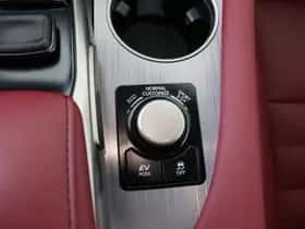 Lexus RX (2019) thumbnail 28