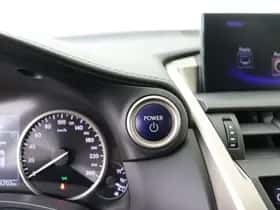 Lexus NX (2017) thumbnail 32