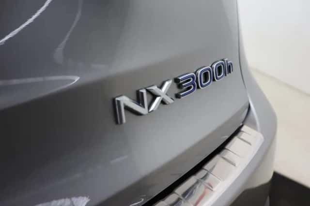 Lexus NX (2017) thumbnail 37