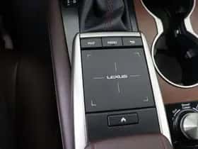 Lexus RX (2022) thumbnail 21