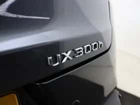 Lexus UX (2026) thumbnail 37