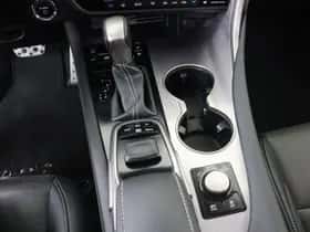 Lexus RX (2019) thumbnail 11