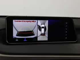 Lexus RX (2019) thumbnail 10