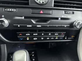 Lexus RX (2019) thumbnail 6