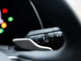 Lexus RX (2024) thumbnail 21