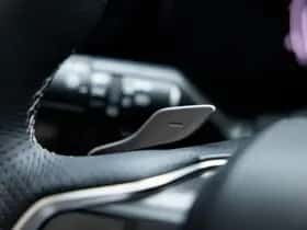 Lexus RX (2024) thumbnail 22