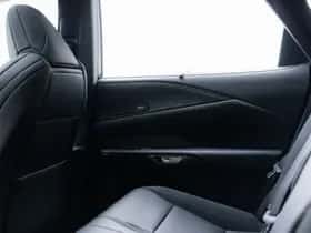 Lexus RX (2024) thumbnail 46