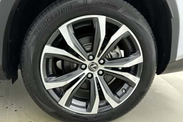 Lexus RX (2022) thumbnail 24