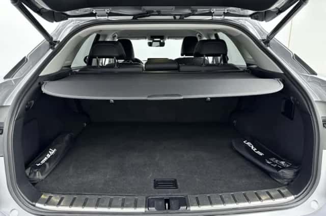 Lexus RX (2022) thumbnail 25