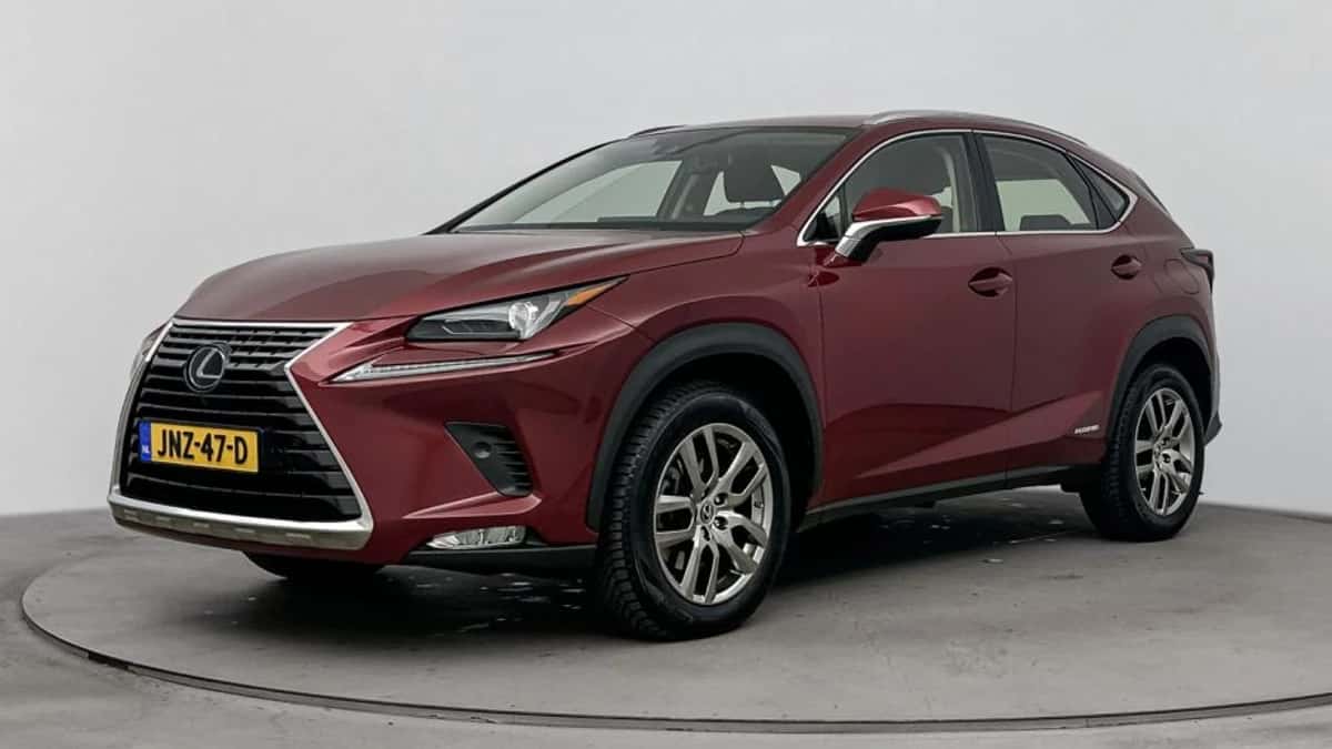 Lexus NX (2020) — foto 1