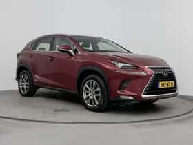 Lexus NX (2020) thumbnail 11