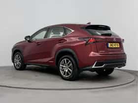 Lexus NX (2020) thumbnail 12