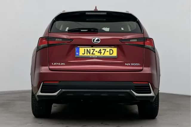 Lexus NX (2020) thumbnail 17