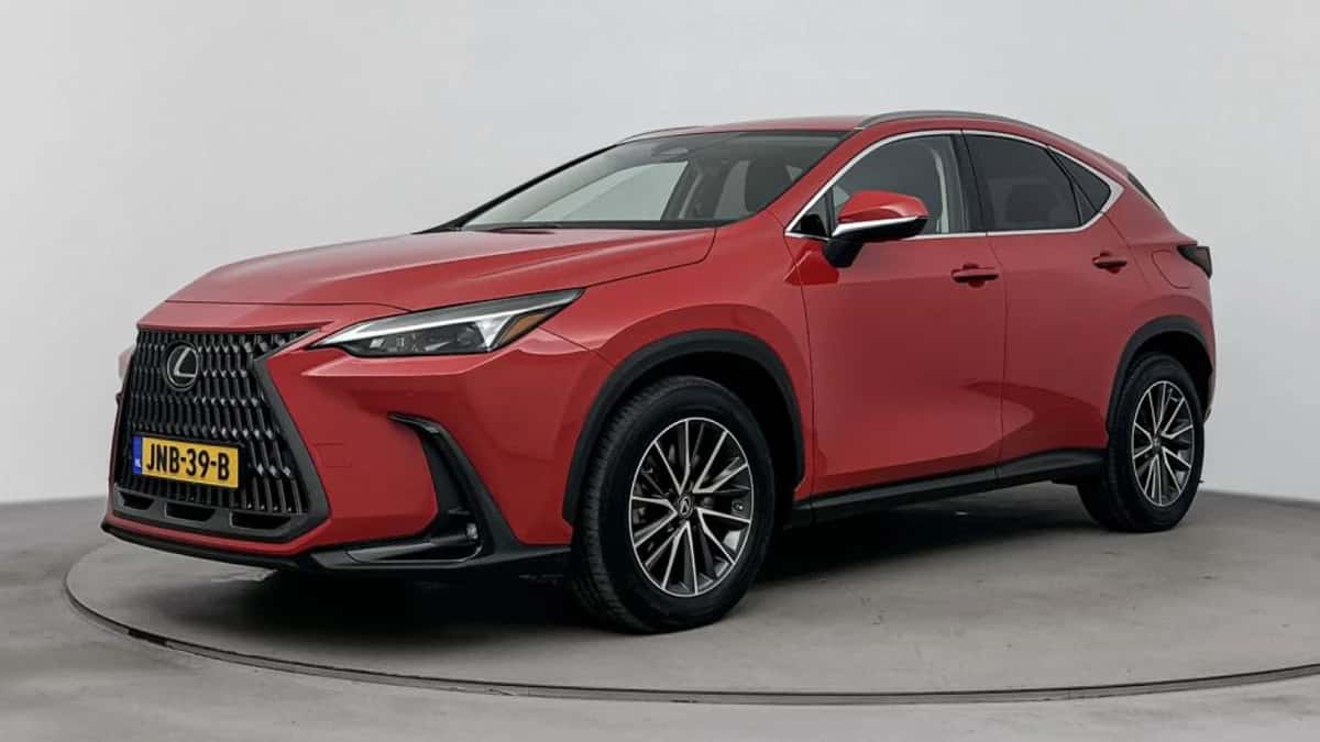 Lexus NX (2023) — foto 1