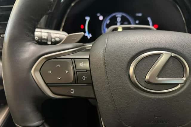 Lexus RX (2023) thumbnail 21