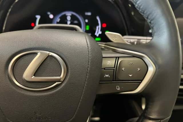 Lexus RX (2023) thumbnail 22