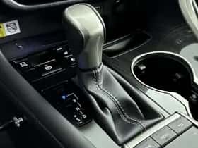 Lexus RX (2020) thumbnail 13