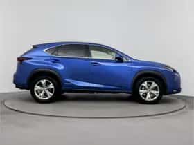 Lexus NX (2016) thumbnail 14