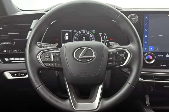 Lexus RX (2024) thumbnail 20