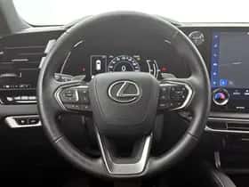 Lexus RX (2024) thumbnail 20