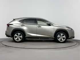 Lexus NX (2017) thumbnail 12