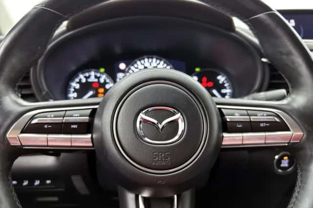 Mazda CX-30 (2021) thumbnail 19