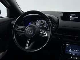 Mazda MX-30 (2021) thumbnail 18