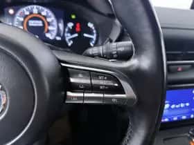 Mazda MX-30 (2021) thumbnail 20