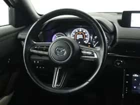 Mazda MX-30 (2021) thumbnail 18