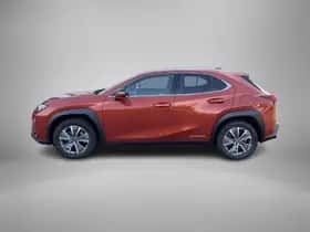 Lexus UX (2020) thumbnail 4