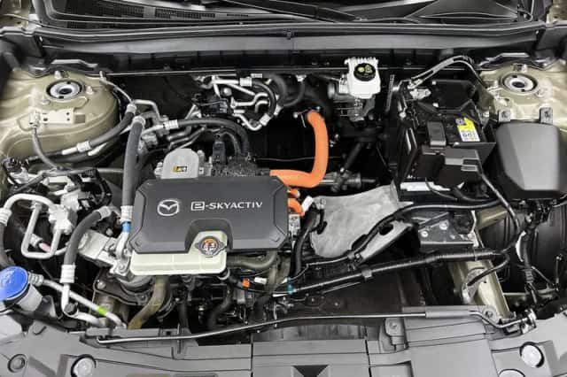 Mazda MX-30 (2023) thumbnail 29