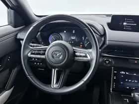 Mazda MX-30 (2020) thumbnail 29