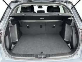 Suzuki Vitara (2025) thumbnail 24
