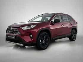 Toyota RAV4 (2019)