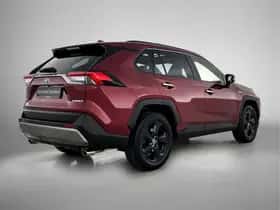 Toyota RAV4 (2019) thumbnail 2