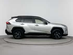 Toyota RAV4 (2019) thumbnail 13