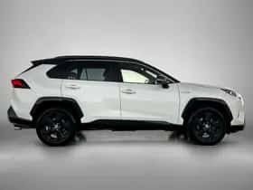 Toyota RAV4 (2019) thumbnail 11
