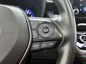 Toyota Corolla (2022) thumbnail 19