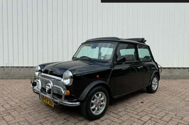 Rover Mini (1993) thumbnail 1