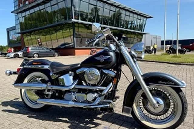 DS 1994 FLSTN SOFTAIL NOSTALGIA (1994) thumbnail 1